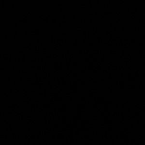 Meet your Posher, Deshawn